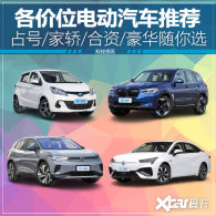 ��˹��֮���ѡ�� ����λ�綯�����Ƽ�