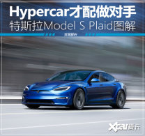 Hypercar���������� Model S Plaidͼ��