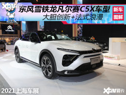 ���µķ�ʽ���� ʵ��ѩ����������C5X