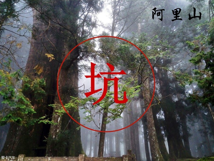 自驾游