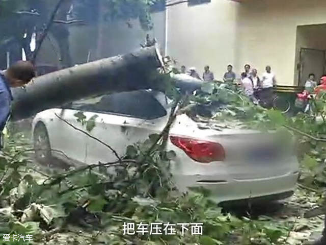 晚报