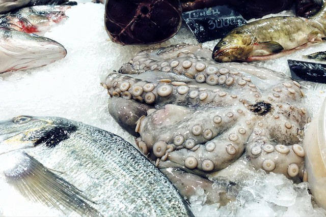 密集恐惧症想看的东西 640_480_20180706095433643731445800783.jpg