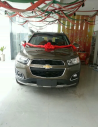 2015�������2.4L �Զ��콢�� 7��