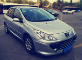 2009�����307����1.6L �ֶ����ְ�