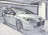 2009�����307����1.6L �ֶ����ְ�