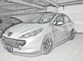 2009�����307����1.6L �ֶ����ְ�