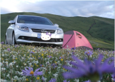 2013�����71.6L DVVT �ֶ�������