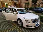 2015�������XTS28T ������