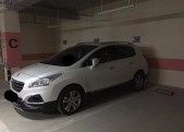 2015�����30082.0L �Զ�������