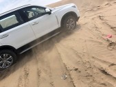 2017��������ͨD902.0T �Զ����� ������