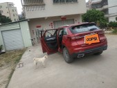 2018��SWM˹��G011.5T �Զ���up