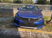2019�����408350THP �Զ������ ��V
