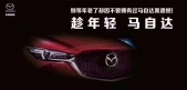 2017�����Դ�CX-52.5L �Զ�����������