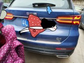2018��SWM˹��G011.5T �Զ���up