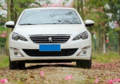 2019�����408350THP �Զ������ ��V