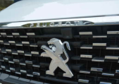 2019�����408230THP �ֶ����Ȱ� ��V