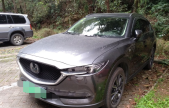 2019�����Դ�CX-5�ƿذ� 2.5L �Զ�����������