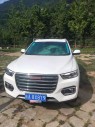 2019�����H62.0GDIT �Զ����������� ��V