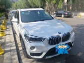 2019X1xDrive 20Li 