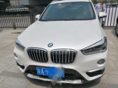 2019X1xDrive 20Li 