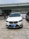 2019X1xDrive 20Li 