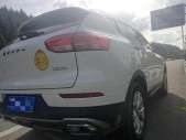 2019�����H61.5GDIT �Զ��ھ��� ��VI
