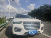 2019�����H61.5GDIT �Զ��ھ��� ��VI