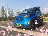 2019���E100250km ���а�