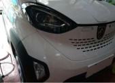 2019���E100250km ������