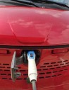 2019���E100250km ������