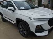 2019���±���RS-51.5T CVT���ܼݿ��콢�� ��VI