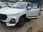 2019���±���RS-51.5T CVT�������������� ��VI