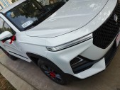 2019���±���RS-51.5T �ֶ����������� ��VI