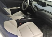 2020���׿���˹UX260h ̽��Ȥ��