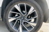 2019��VS5280TSI �ֶ�������