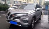 2020sRX5 eMAX500PHEV 4G(lin)A