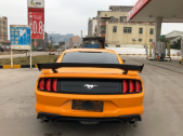 2020Mustang2.3T EcoBoost Ӱر