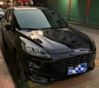 2020�����EcoBoost 245 ����������