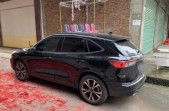 2020�����EcoBoost 245 ����������
