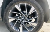 2020��ݴ�VS71.4T �Զ�������