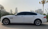 2020��ݱ�XFLP250 ����������