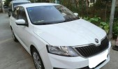 2020��꿶�1.5L �Զ���׼��