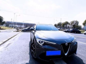 2020��Stelvio280HP ����������