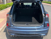 2020�����EcoBoost 245 �����ϻ�������