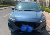 2020�����EcoBoost 245 �����ϻ�������