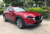 2020ԴCX-302.0L Զҫ