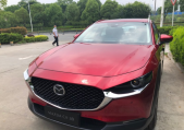 2020ԴCX-302.0L Զҫ