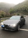 2019��Giulia280HP ������ Black Package