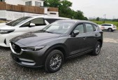 2020ԴCX-302.0L Զҫ