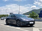 2020��Model 3��׼������������������